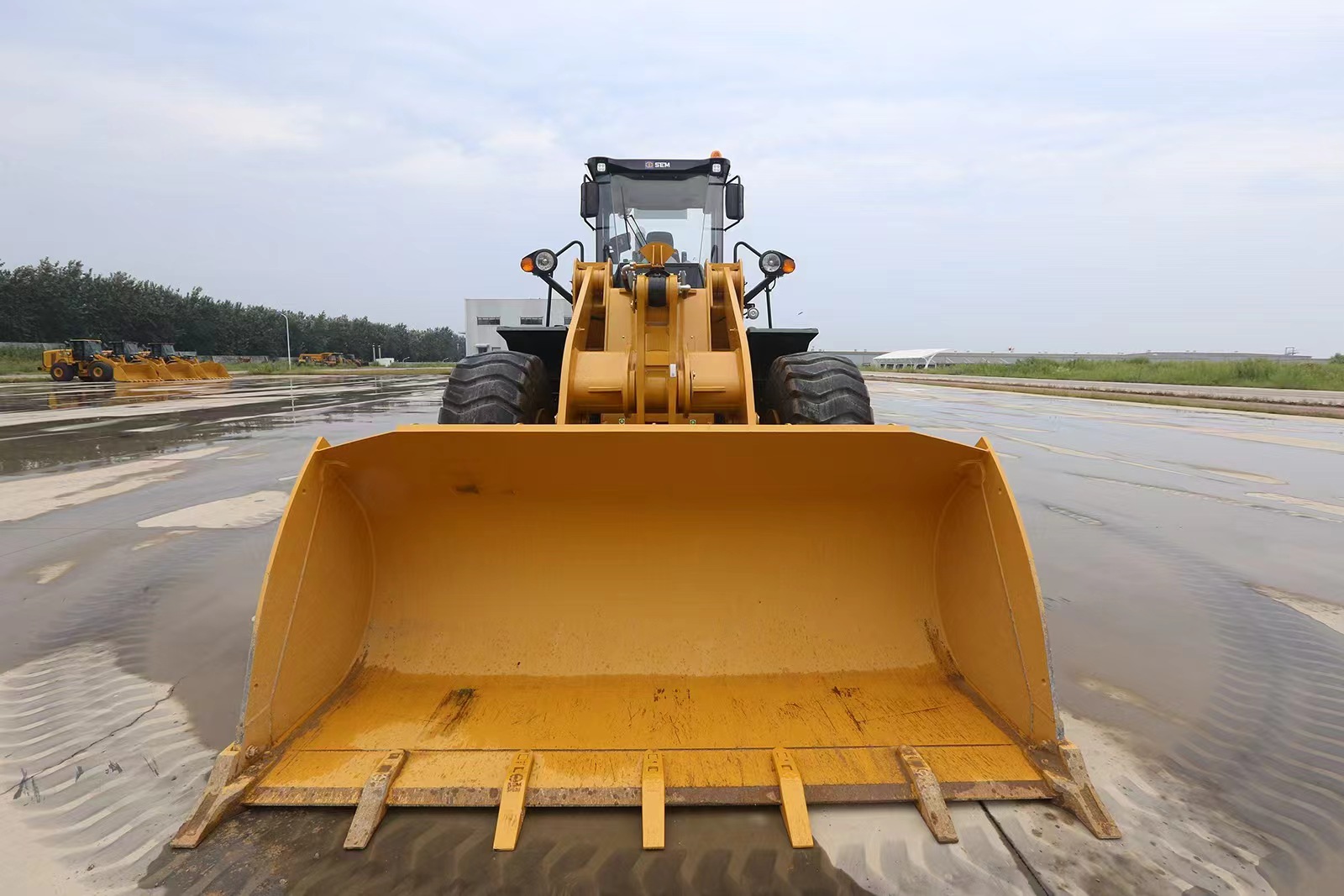 2025 Earthmoving Machinery SEM 655F