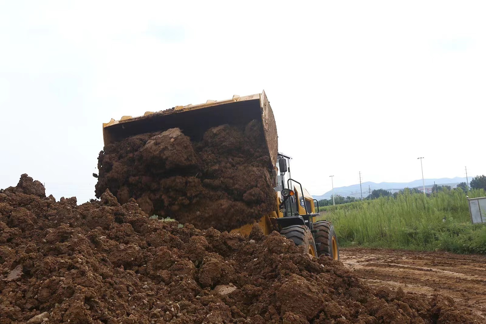 2025 Earthmoving Machinery SEM 655F