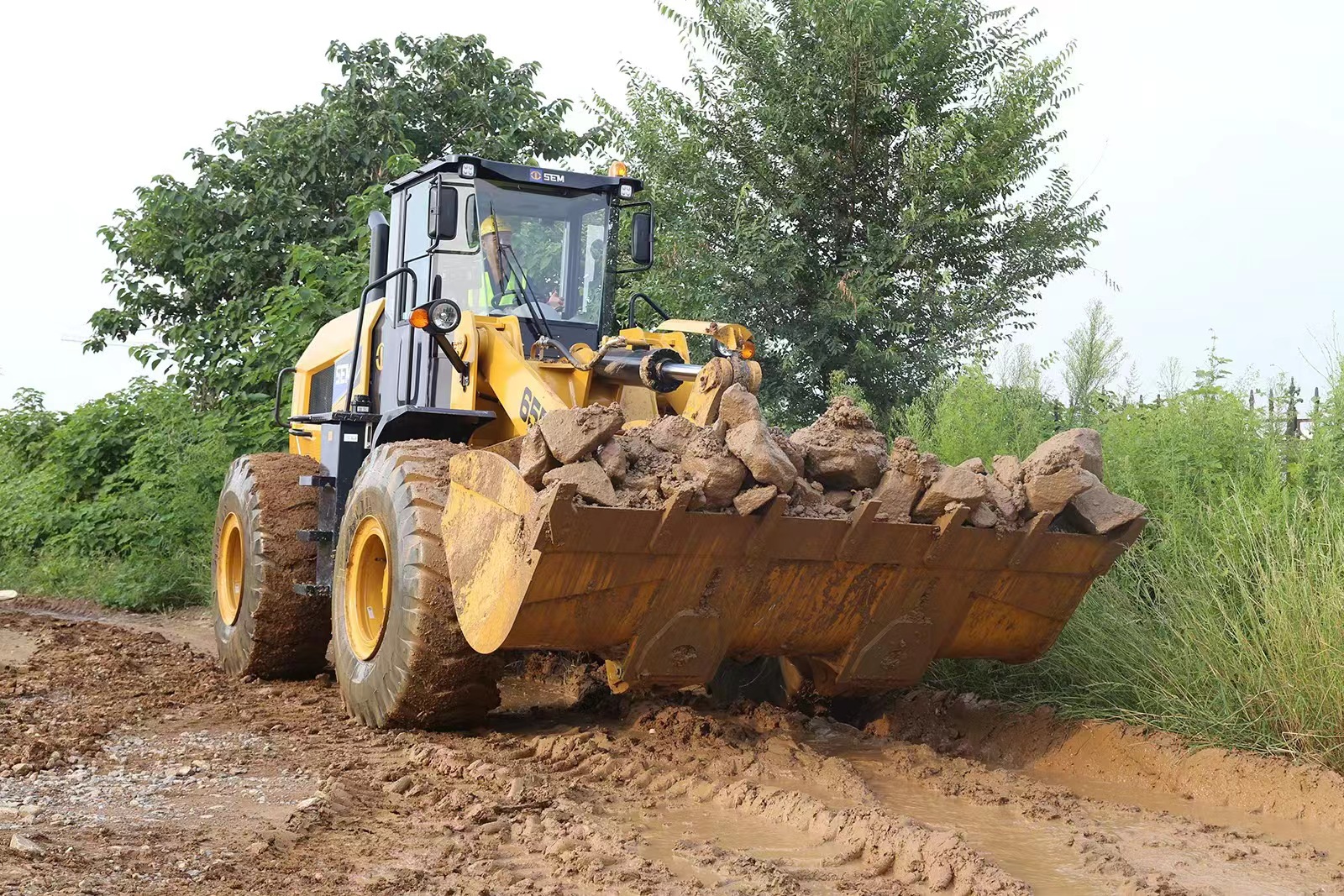 2025 Earthmoving Machinery SEM 655F